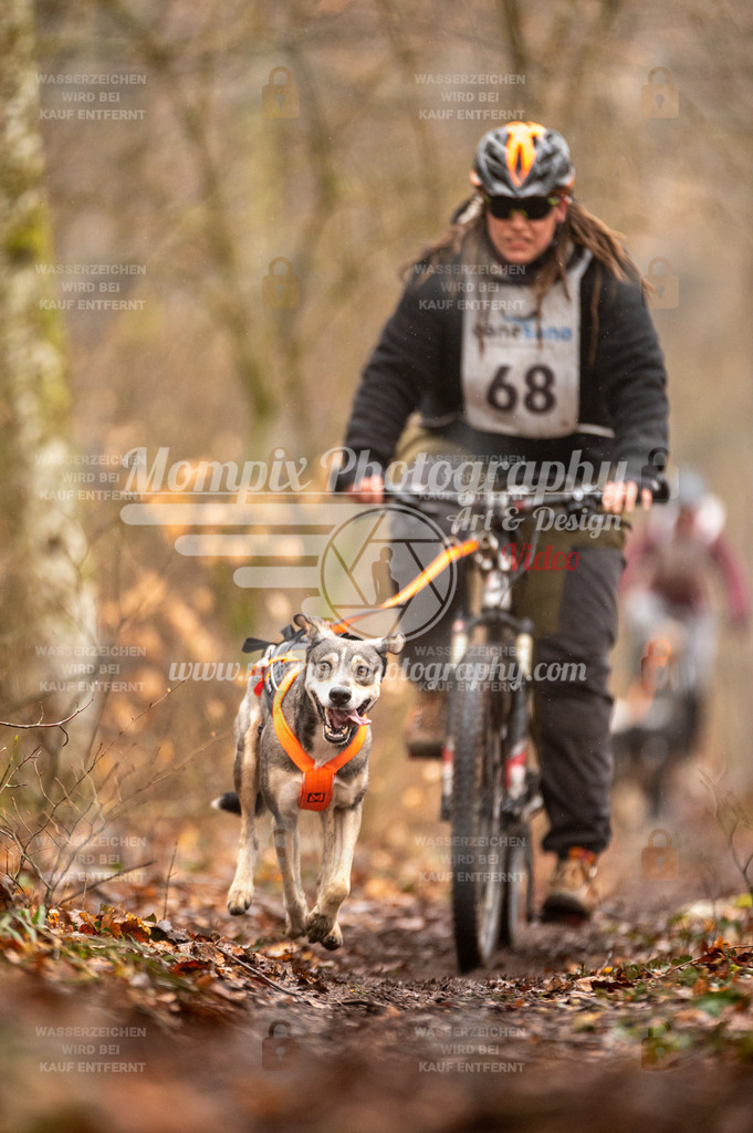 Reiat2023_SON_Bike_5km_1H-51 | PayLife