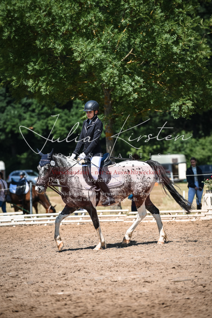 DSC_3204 | Pferde- und Turnierfotografie in Westsachsen. Pferdeportraits, Auftragszeichnungen und intuitive Kunst.