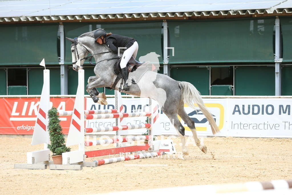 DL2Q5985 | Willkommen bei Brunnmayr - Design & Fotografie – Ihrem Spezialisten für Reitturniere und Pferdeveranstaltungen in Oberösterreich, Salzburg und Bayern! Seit über 17 Jahren sind wir leidenschaftlich dabei.