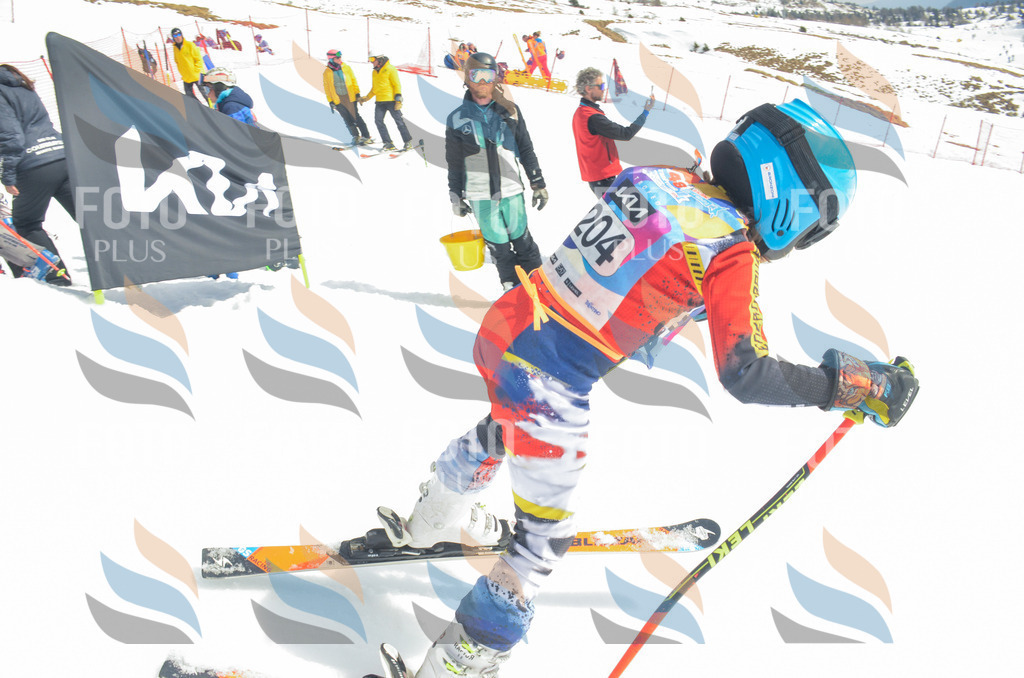 _ELE6963 | holidayphoto