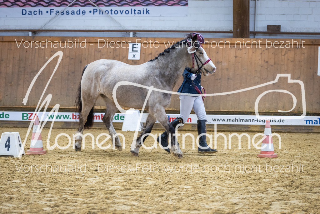 Sth-WBO25-Führ-WB-081 | MomenTaufnahmen Pferdesportfotos