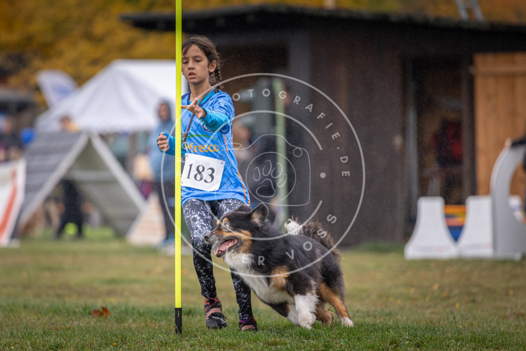 Pfotenfotografie_DV3A9686 | Hundefotografie, Tierfotograf, Pfotenfotografie, Fotoshooting Hund, Hunde Portrait, Hundesport, Hundeportraits, Heideshooting, Hunde, Sportfotograf, Hundefotograf, Turnierhundsport, THS,  - Realisiert mit Pictrs.com