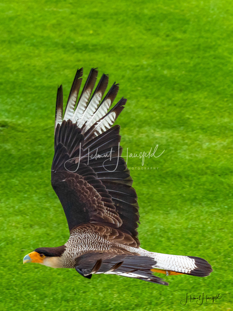 DSC09412 | Landschaftsfotografie, Naturfotografie - Realisiert mit Pictrs.com