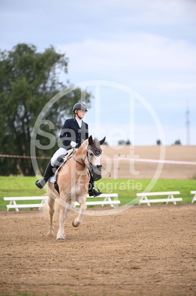 DSC_4211 | sattelsport - Realisiert mit Pictrs.com