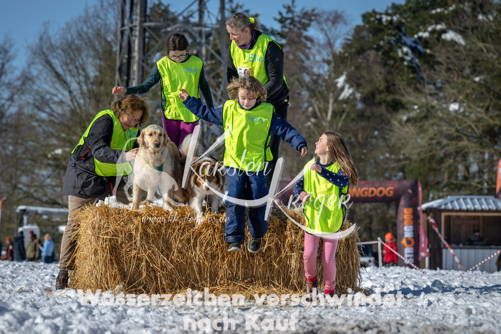 1152_ZZ91440-4 | kk-dogfotos