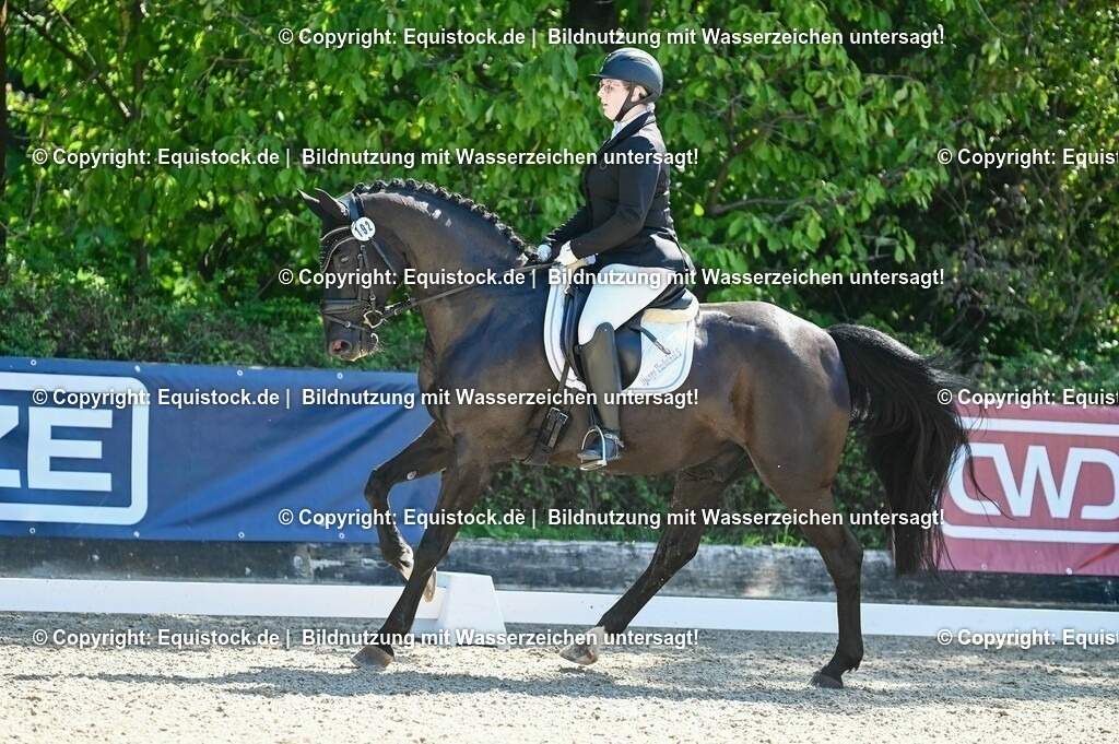 20230908_06_Dressur-L-Trense_0706 | equistock