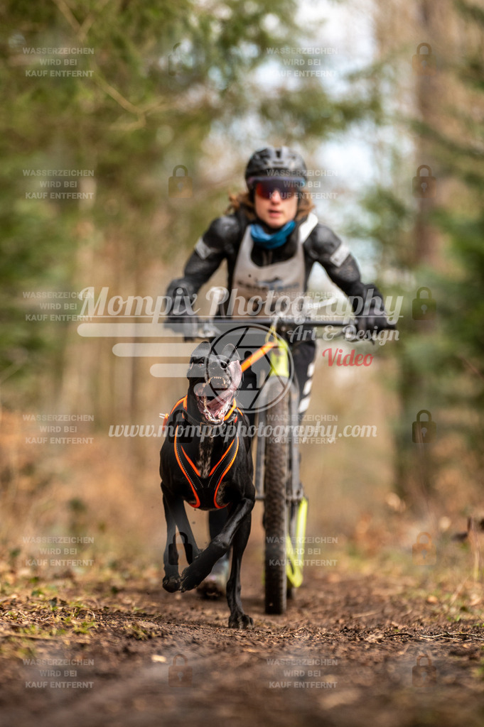 Reiat2023_SAM_Scooter_5km_1H-1 | PayLife