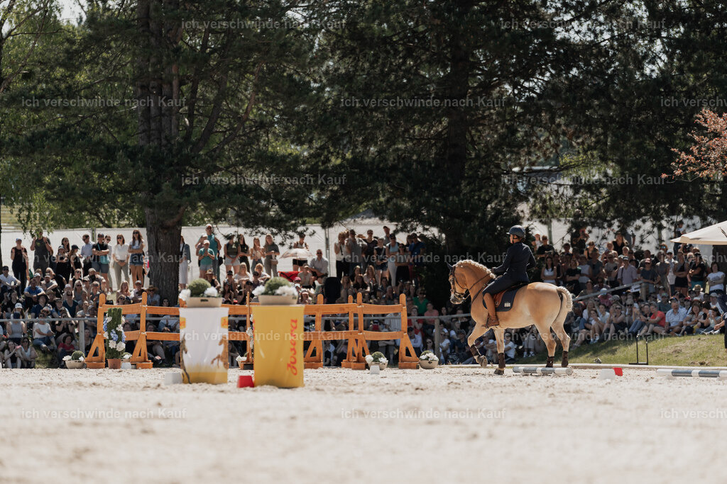 WE_SP_Stoib_308_PI2025_1613 | Pferd International München 2025