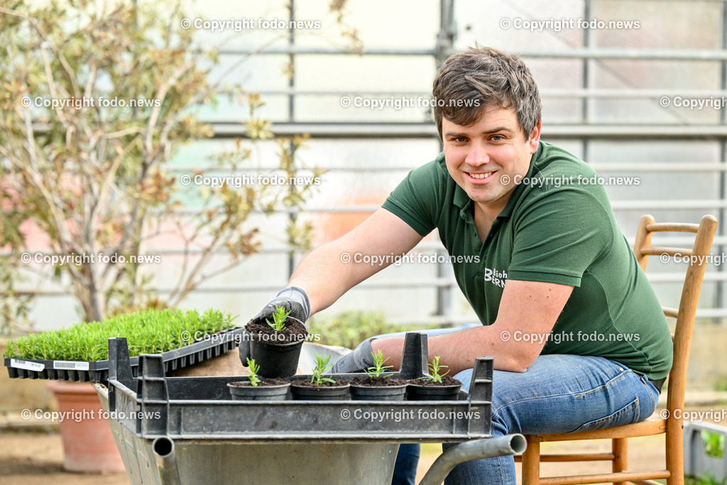 Biohof Berner_ Pupping_ 28.02.2023-13 | 28.02.2023, Pupping, AUT, Biohof Berner, im Bild André Berner (Biobauer) beim pflanzen von Rosmarienstecklingen