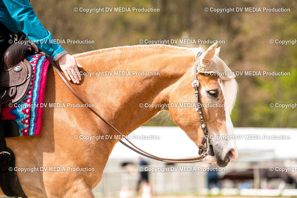 Heiligenwald Tag 1-739 | dv-media-shop - Realisiert mit Pictrs.com