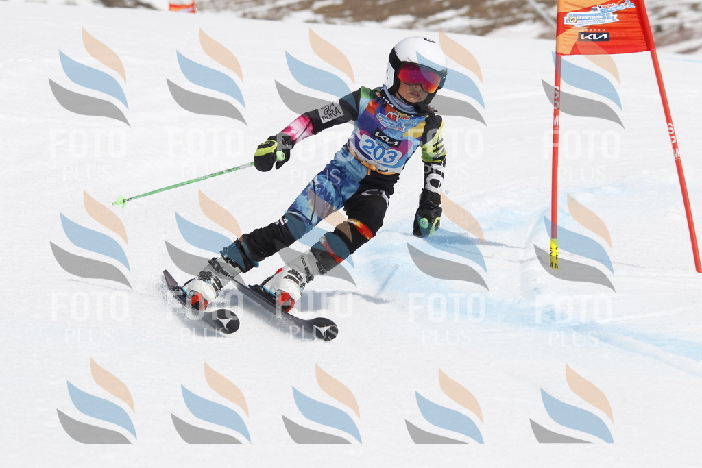 _U3G2103 | holidayphoto