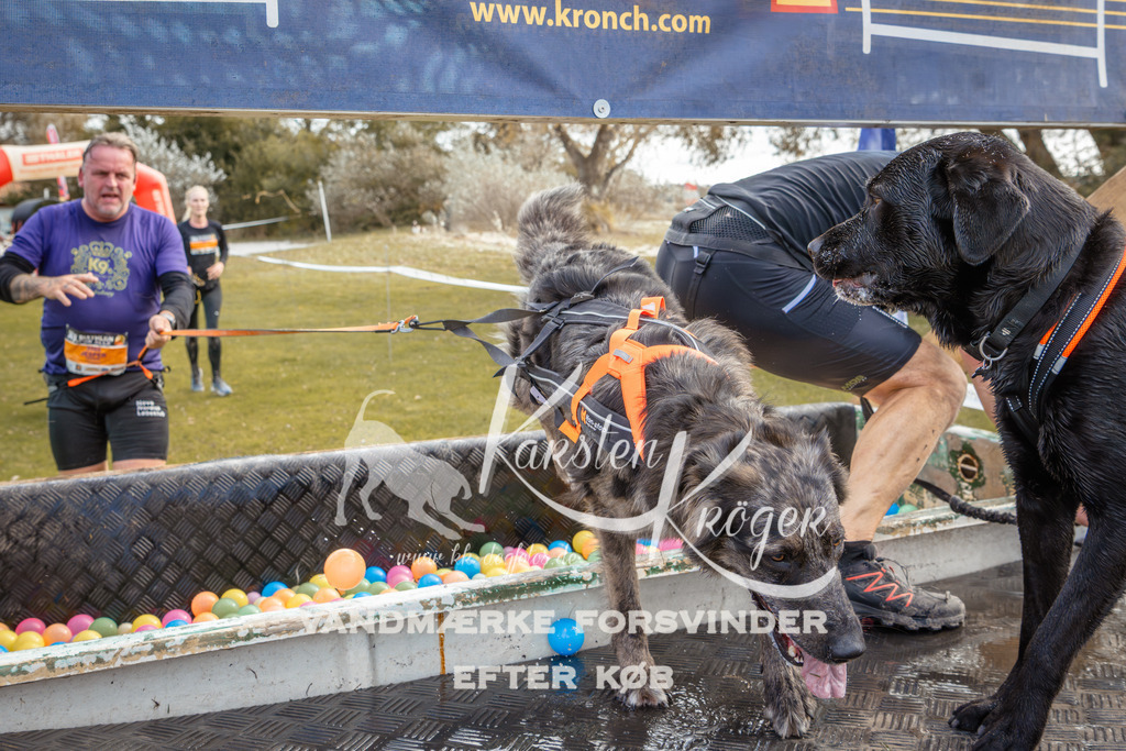 1359_ZZ93259-2 | kk-dogfotos