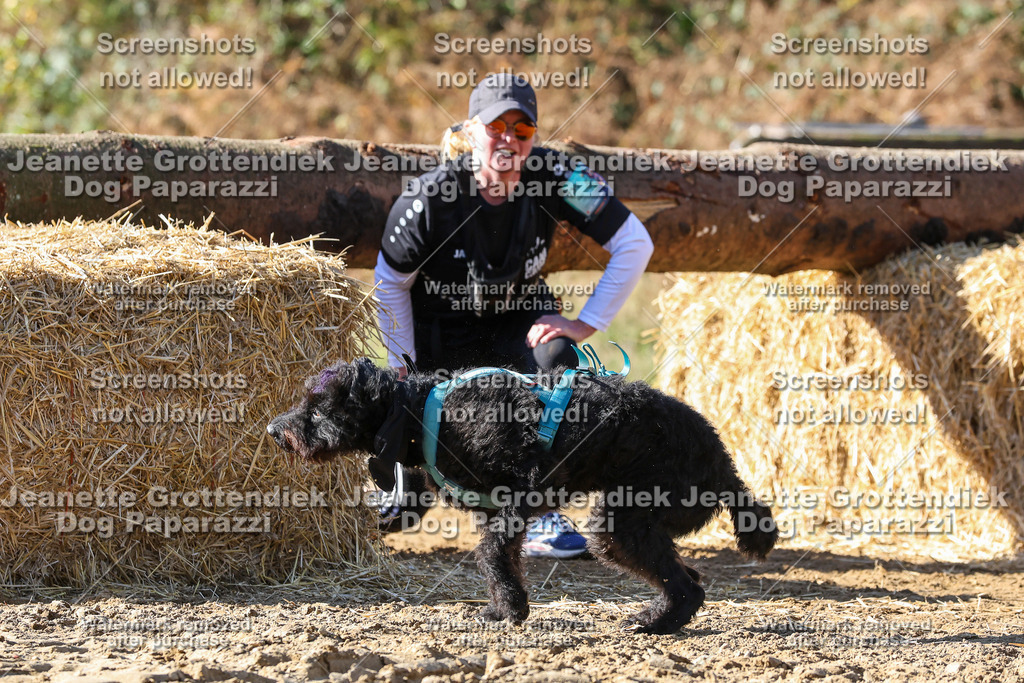 Dog Paparazzi - Strongdog 10-25-4660 | Dog Paparazzi Jeanette Grottendiek Fotografie & Videografie - Realisiert mit Pictrs.com