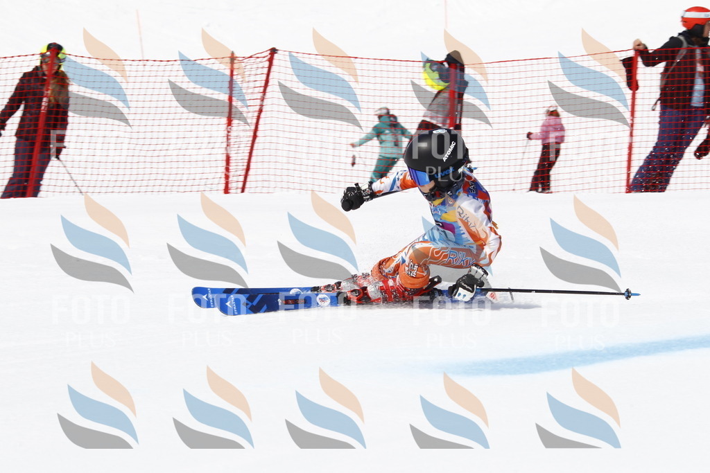 _U3G5711 | holidayphoto