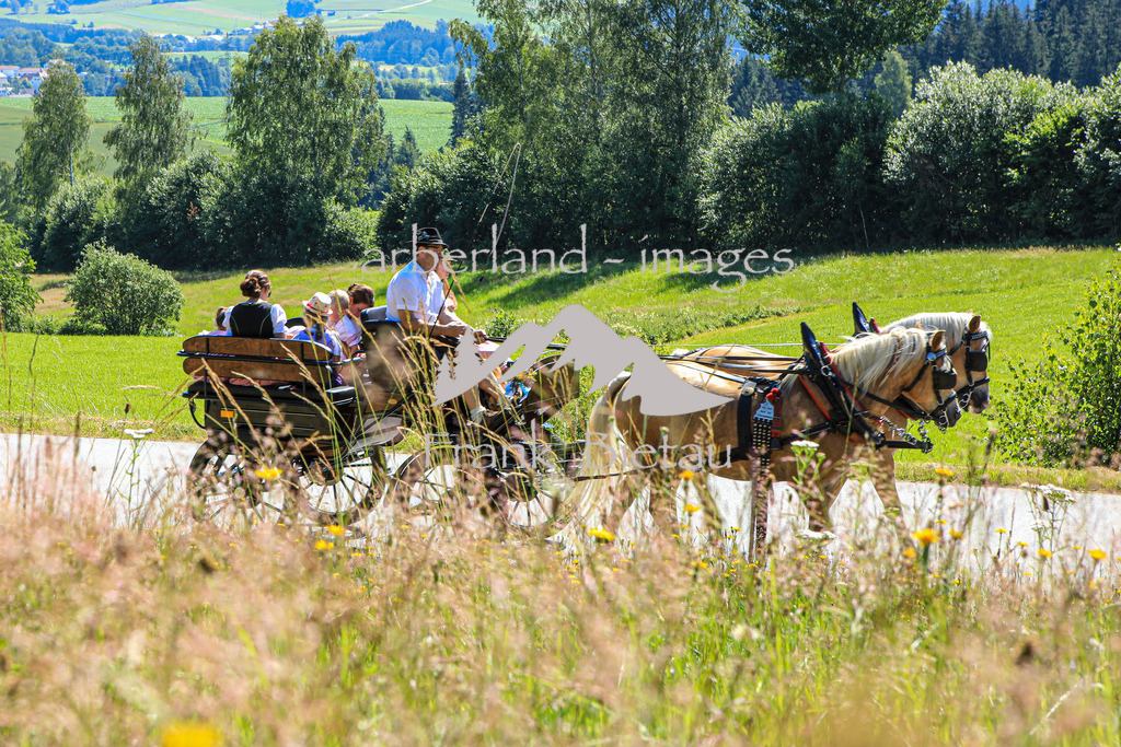 OE7A5617 | Seit Jahrzehnten gibt es diese eindrucksvolle Pferdeveranstaltung der Pferdefreunde Rinchnach. Der Ursprung, bei der Gedächtnisfahrt an bereits verstorbene Pferdefreunde zu erinnern ist bis heute geblieben.