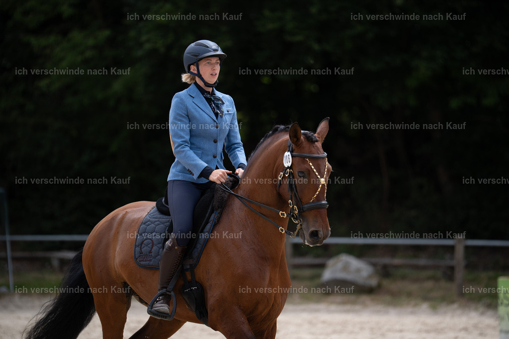 WL_ST_106_stoibphotography__SO11146 | working equitationturnier fotograf videograf stoibphotography marixx film working equitation deutschland reitsport turnierfotografie eventfotografie equestrian events