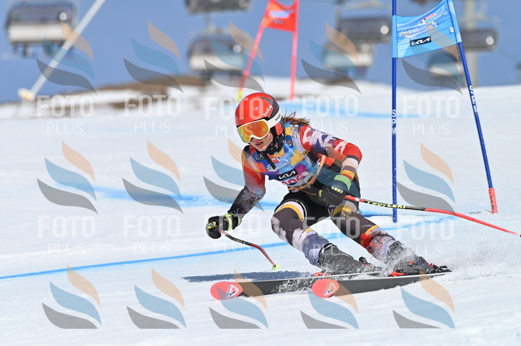 BGV_9571 | holidayphoto