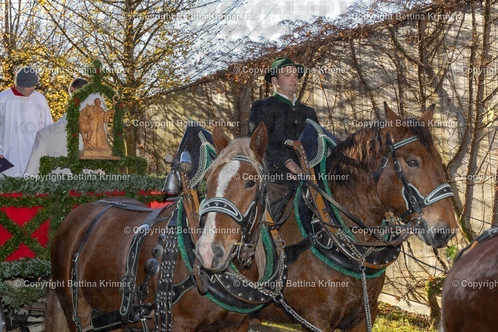 LL24-275 | foto-bettina-krinner - Realisiert mit Pictrs.com