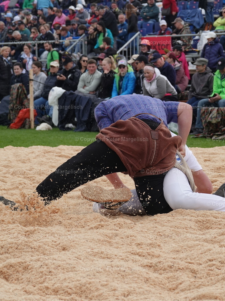 DSC06376 | Schwingen - Realisiert mit Pictrs.com