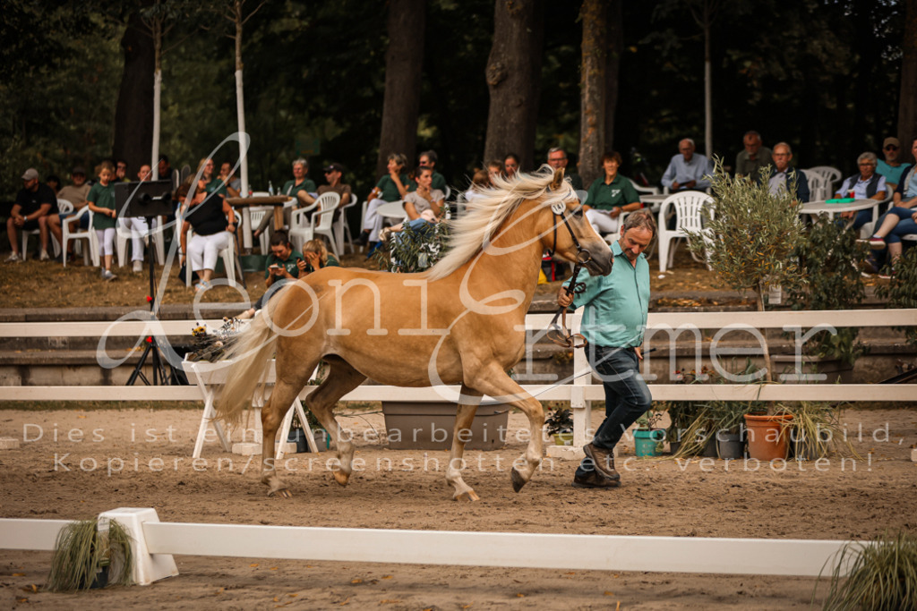 06.So00088 | Leoni Ertmer Photography - Realisiert mit Pictrs.com