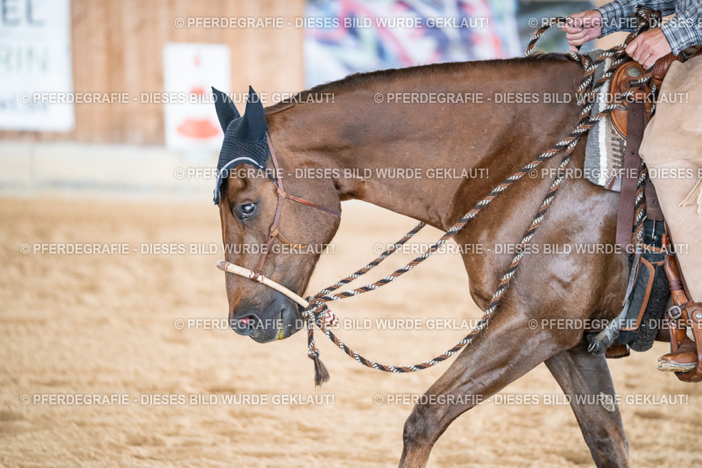 DSC08719 | Pferdegrafie