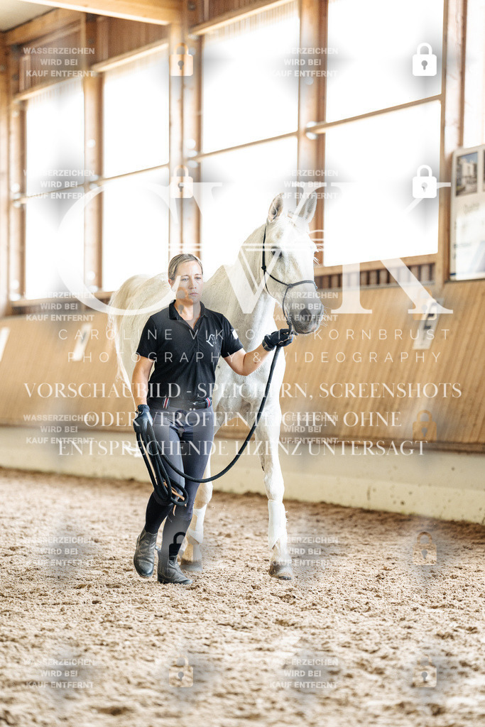 CK908180 | Turnierfotografie Pferdefotografie Trier Rheinland-Pfalz Pferdesport Reitsport Tierfotografie Sportfotografie Pferdevideo Pferdevideografie Equestrianvideography equestrianphotography  - Realized with Pictrs.com