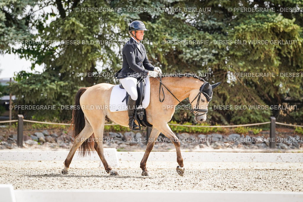 DSC09517 | Pferdegrafie