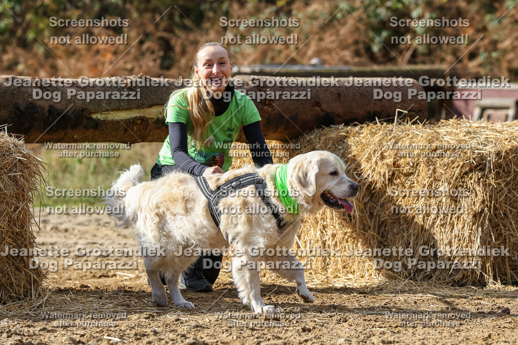 Dog Paparazzi - Strongdog 10-25-5107 | Dog Paparazzi Jeanette Grottendiek Fotografie & Videografie - Realisiert mit Pictrs.com