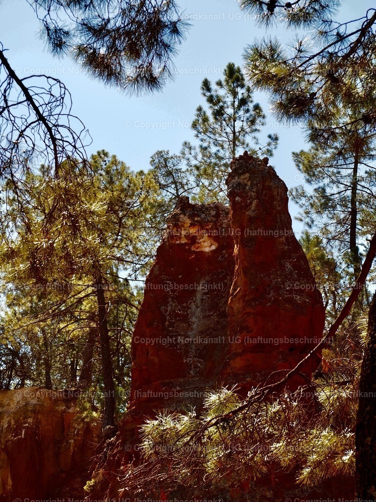 IMG_2931 | OLYMPUS DIGITAL CAMERA          - Realisiert mit Pictrs.com