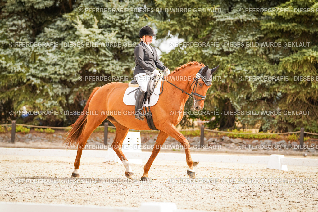 DSC01794 | Pferdegrafie