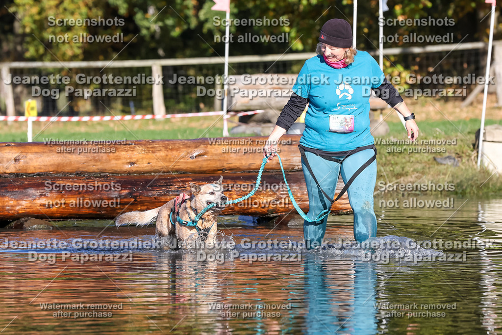 Dog Paparazzi - Strongdog 10-25-8731 | Dog Paparazzi Jeanette Grottendiek Fotografie & Videografie - Realisiert mit Pictrs.com