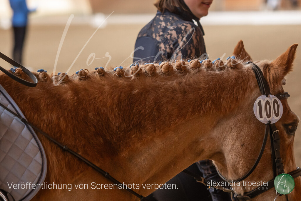 250405_Barop_01_063 | farbklaex.com