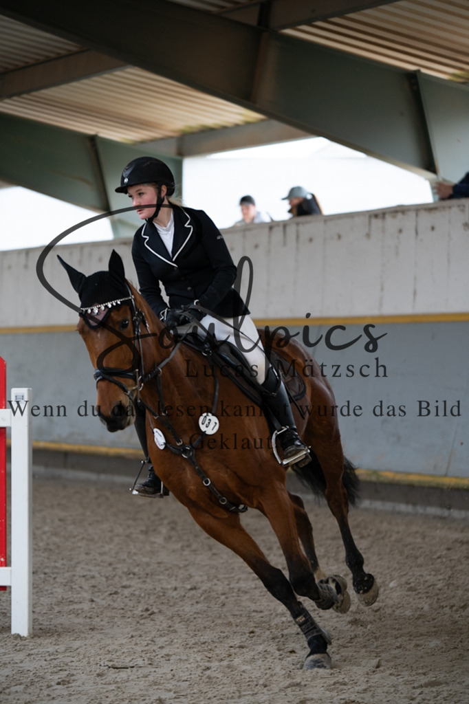 A7V03898 | Pferdefotograf