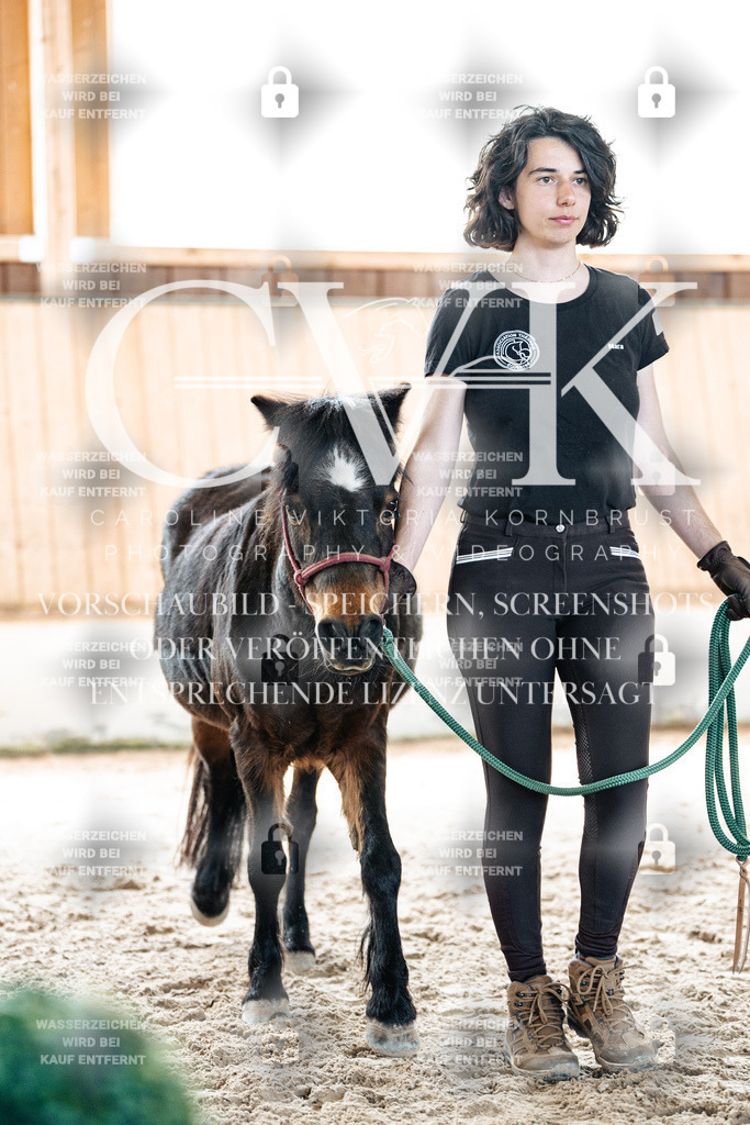 CK906863 | Turnierfotografie Pferdefotografie Trier Rheinland-Pfalz Pferdesport Reitsport Tierfotografie Sportfotografie Pferdevideo Pferdevideografie Equestrianvideography equestrianphotography  - Realisiert mit Pictrs.com