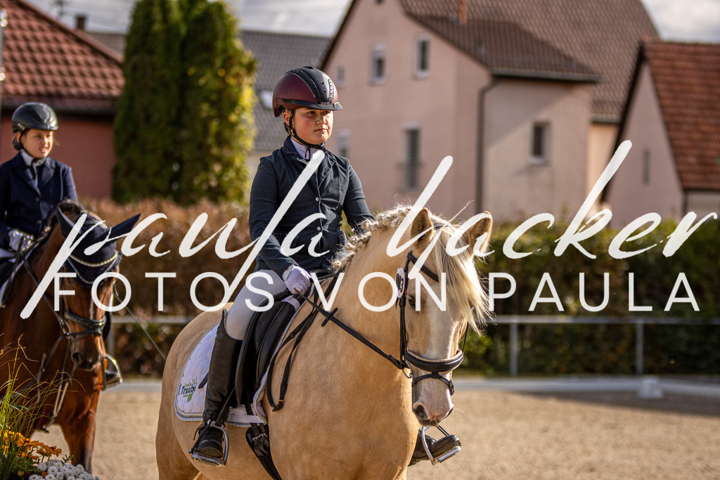 IMG_3443 | Erleben Sie dynamische Sport- und emotionale Tierfotografie in Süddeutschland mit Fotos von Paula. Spezialisiert auf Pferde- und Hundefotografie sowie Sportevents. Kontaktieren Sie mich für einzigartige und ausdrucksstarke Bilder Ihrer besonderen Momente. - Realisiert mit Pictrs.com
