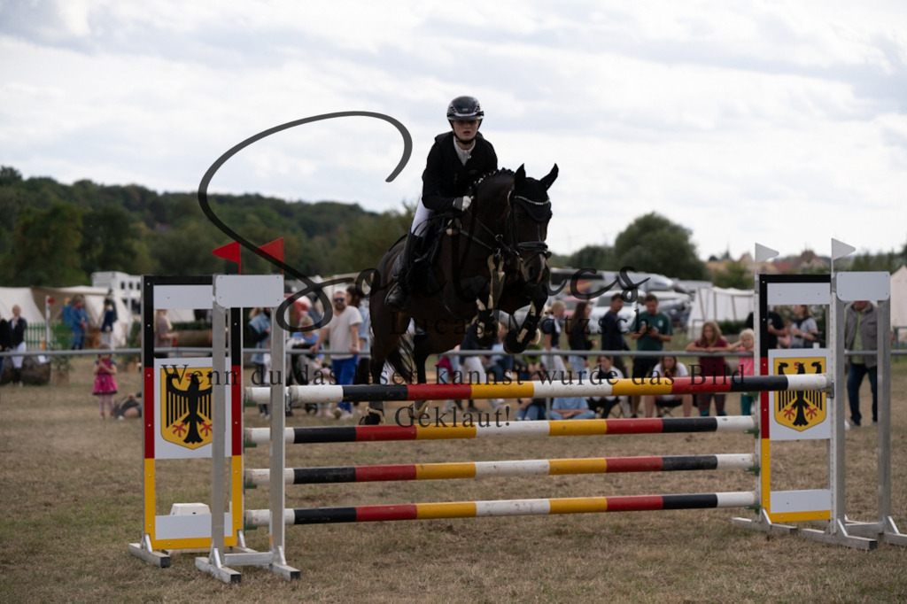 A7V09709 | Pferdefotograf