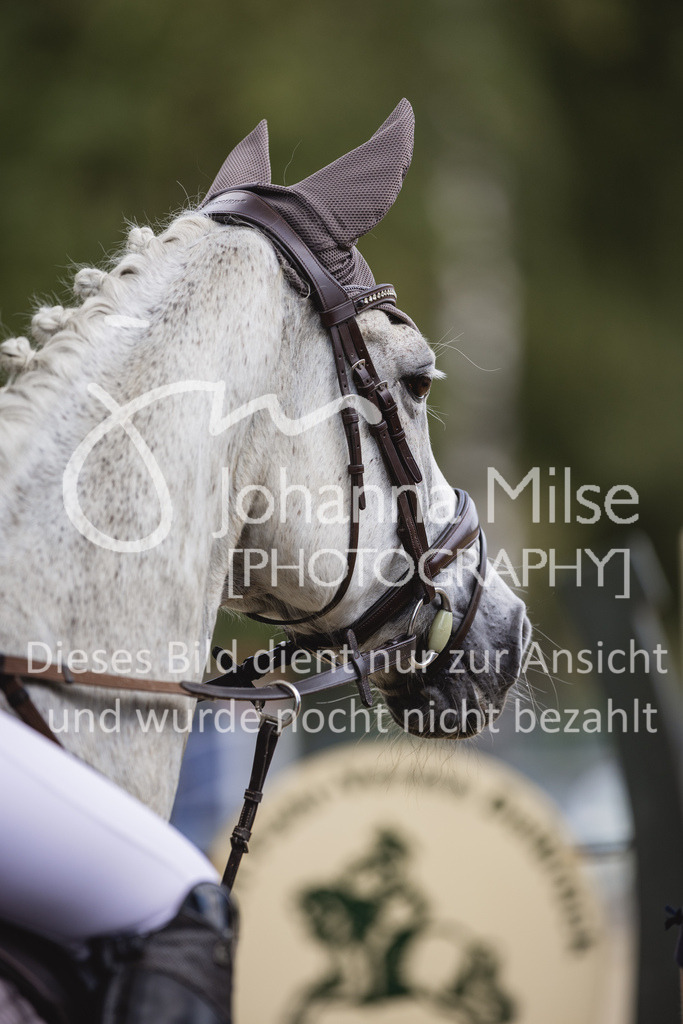 230826_Delbrueck_Stil-E-725 | Deine schönsten Turniermomente als professionelle Fotos! Entdecke hochwertige Pferdesport-Fotografie im Online-Shop. Jetzt Fotos finden & bestellen!