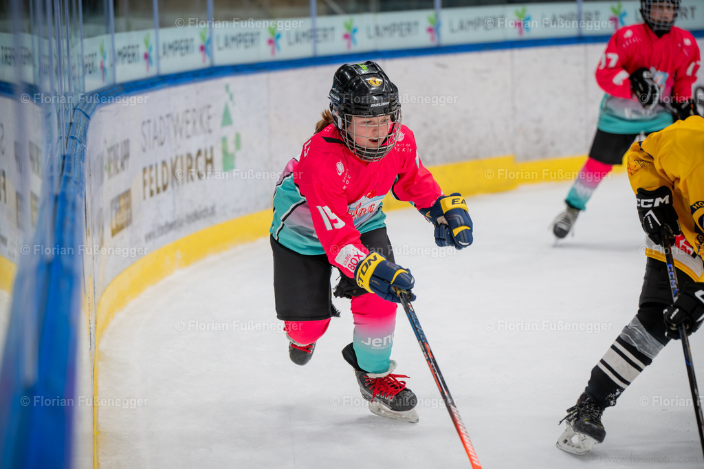 DSC_3537 | "Fussifoto.com – Ihr Ansprechpartner für hochwertige Fotografie! Entdecken Sie kreative Bilder und professionelle Dienstleistungen. Kontaktieren Sie uns für Ihre Projekte!"