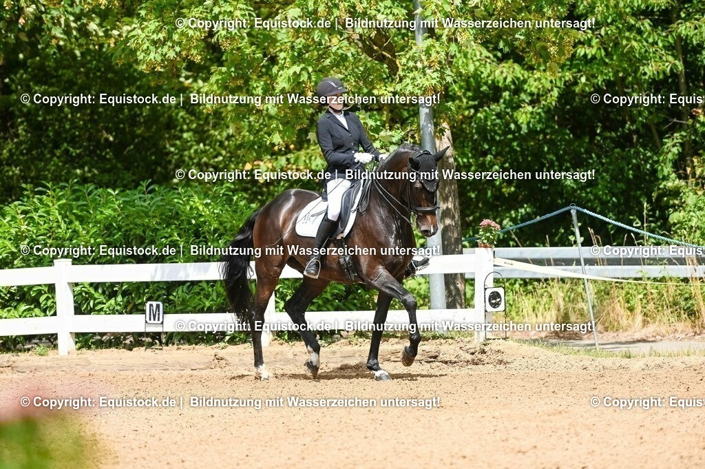 20230716_01_Dressurprüfung Kl.M_0046 | equistock