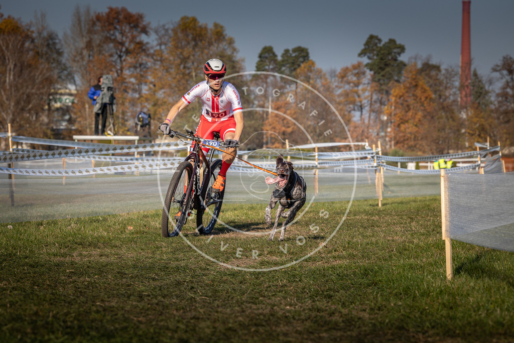 CaniXpix_0L8A5956 | Hundefotografie, Tierfotograf, Pfotenfotografie, Fotoshooting Hund, Hunde Portrait, Hundesport, Hundeportraits, Heideshooting, Hunde, Sportfotograf, Hundefotograf, Turnierhundsport, THS,  - Realisiert mit Pictrs.com