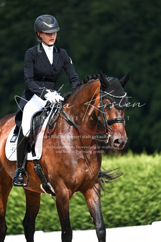 DSC_3115 | Pferde- und Turnierfotografie in Westsachsen. Pferdeportraits, Auftragszeichnungen und intuitive Kunst.