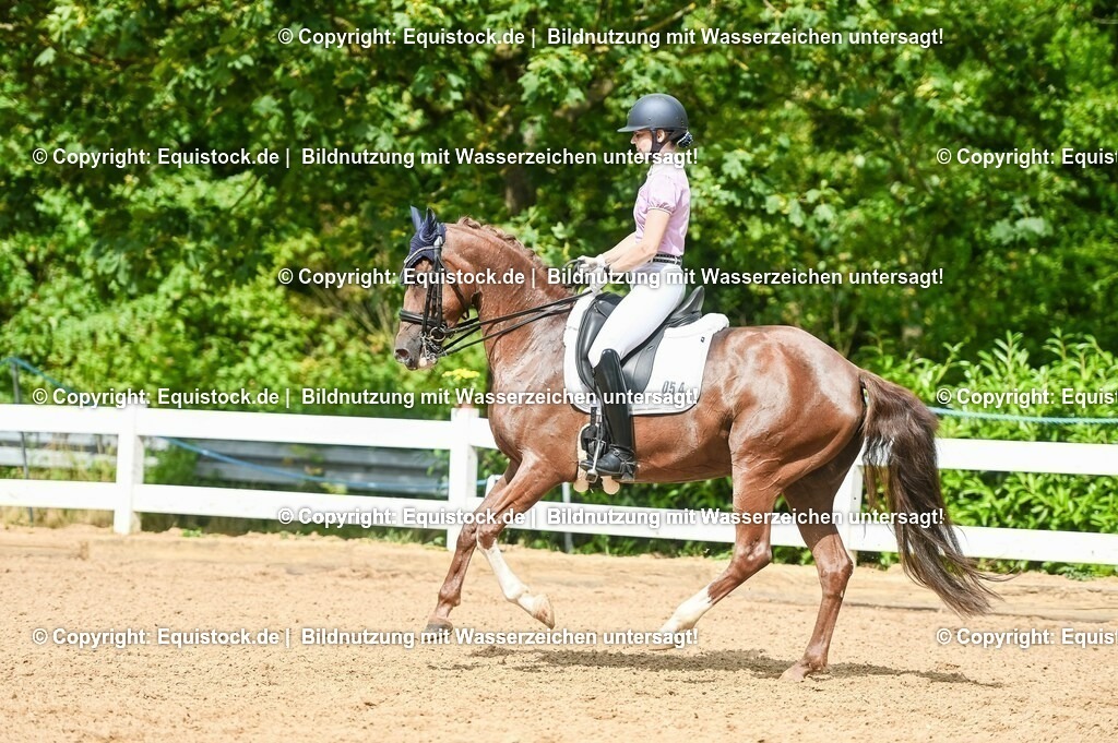 20230716_01_Dressurprüfung Kl.M_0388 | equistock
