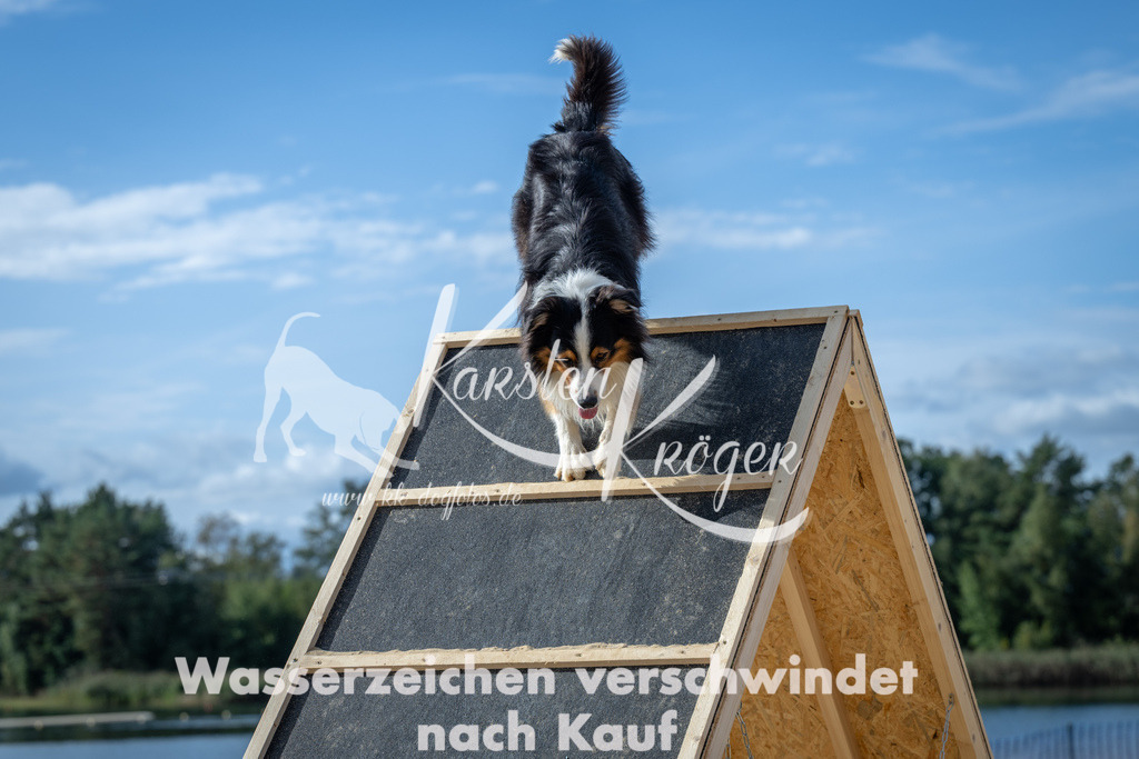 1430_ZZ91435 | kk-dogfotos