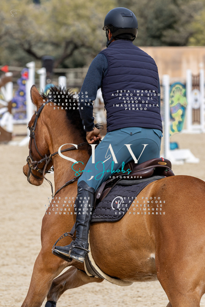 IMG_3784 | s-jay-photography - Realisiert mit Pictrs.com