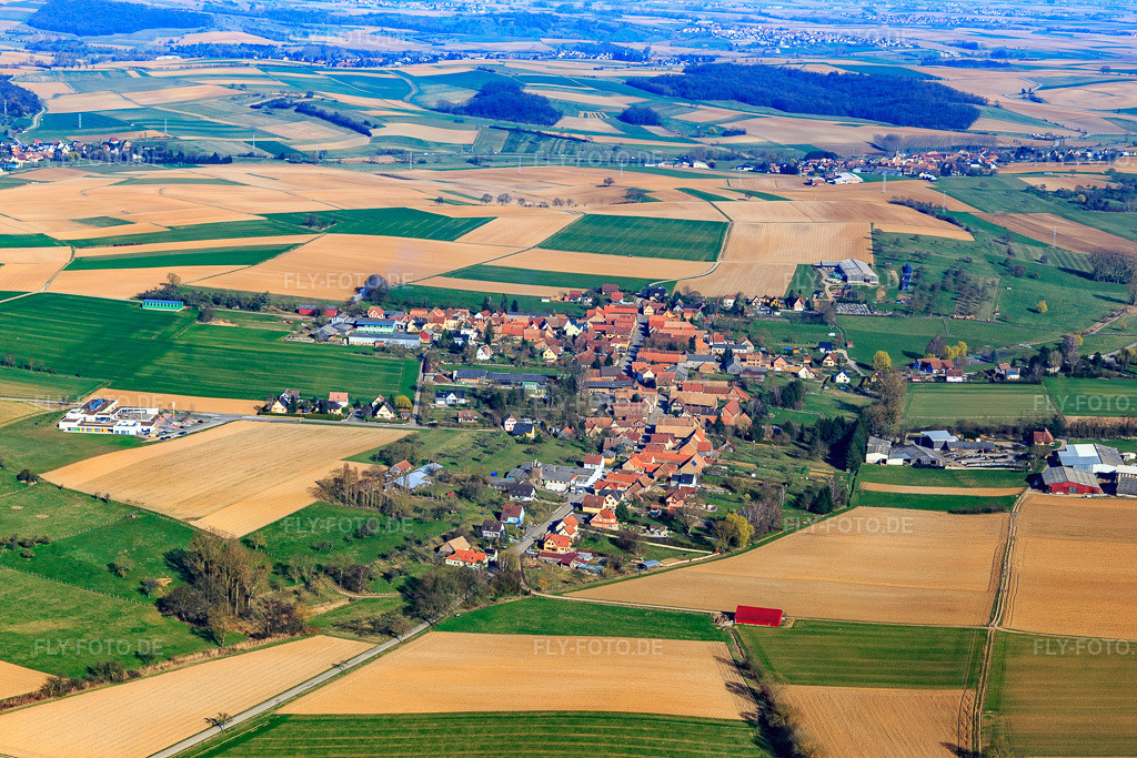 Luftbild: Ortsansicht von Westen in Wickersheim-Wilshausen im Bundesland Bas-Rhin in Frankreich. – Foto: IMG_097536.jpg vom 16.03.2017 durch Werner Riehm/FLY-FOTO.de – Auflösung des Originals: 5472 x 3648 px