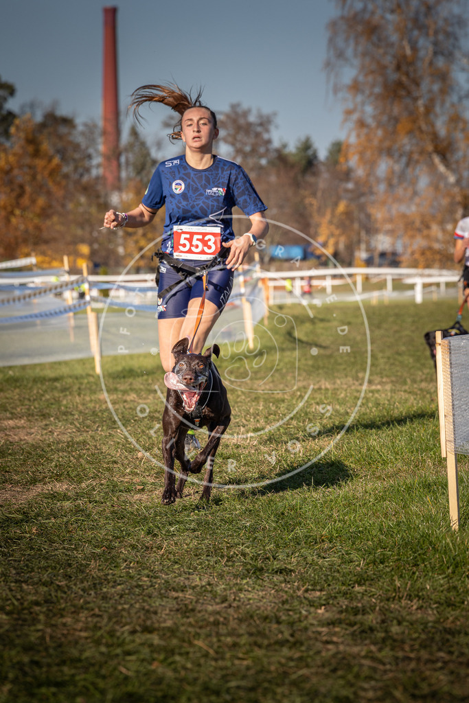CaniXpix_0L8A7692 | Hundefotografie, Tierfotograf, Pfotenfotografie, Fotoshooting Hund, Hunde Portrait, Hundesport, Hundeportraits, Heideshooting, Hunde, Sportfotograf, Hundefotograf, Turnierhundsport, THS,  - Realisiert mit Pictrs.com