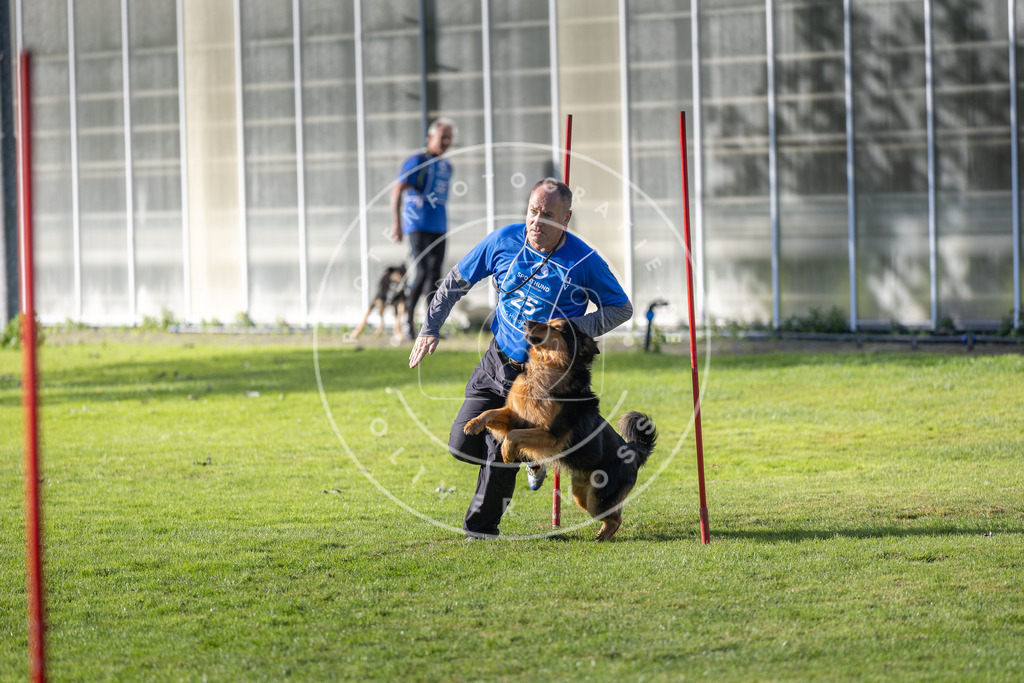 Pfotenfotografie.de_DV3A3314 | Hundefotografie, Tierfotograf, Pfotenfotografie, Fotoshooting Hund, Hunde Portrait, Hundesport, Hundeportraits, Heideshooting, Hunde, Sportfotograf, Hundefotograf, Turnierhundsport, THS, canicross - Realisiert mit Pictrs.com