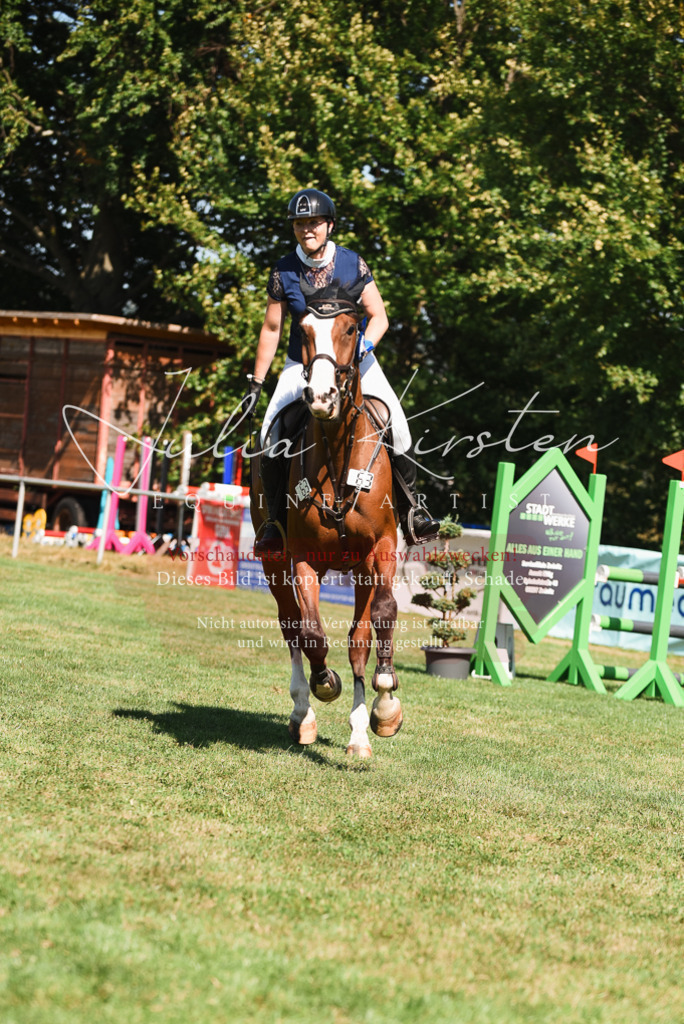 DSC_2959 | Pferde- und Turnierfotografie in Westsachsen. Pferdeportraits, Auftragszeichnungen und intuitive Kunst.