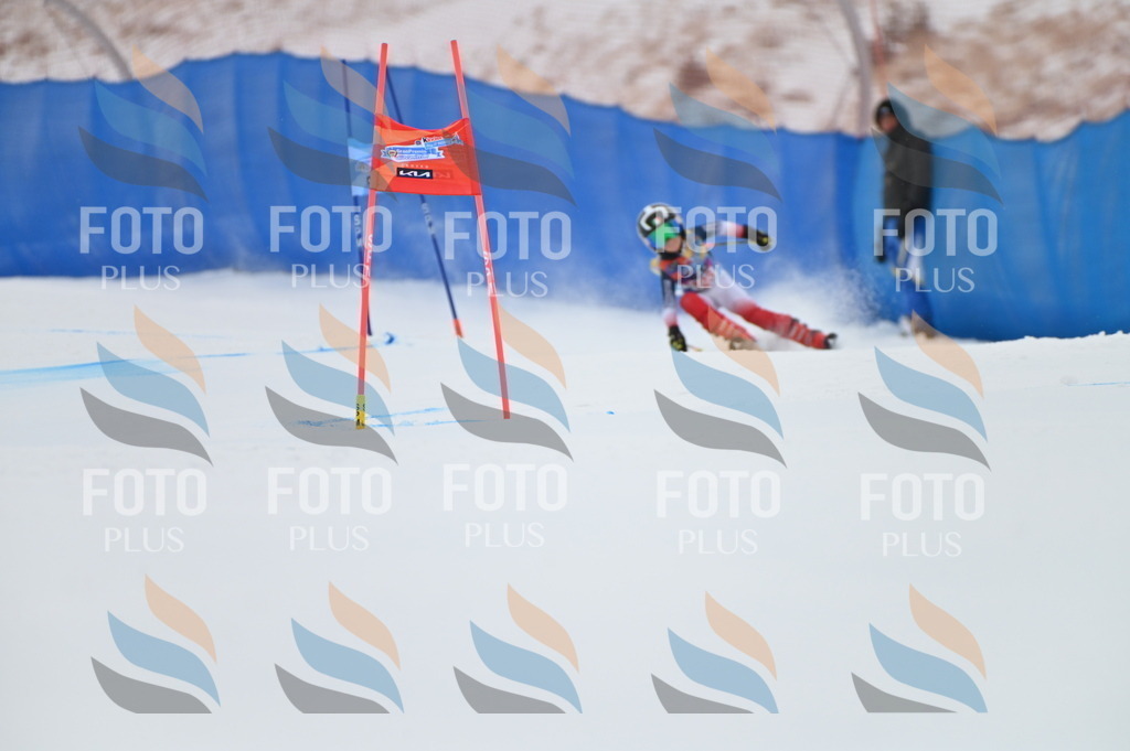 BGV_9973 | holidayphoto