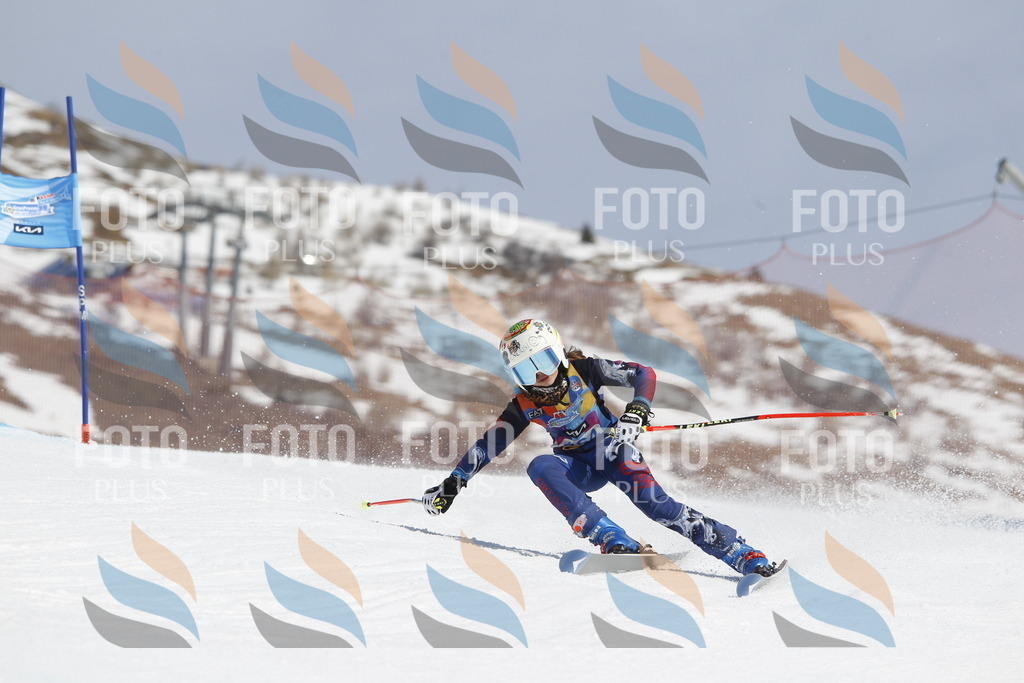 _U3G1414 | holidayphoto